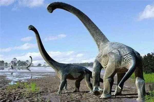 体型最大恐龙排名（世界上最大的恐龙是什么龙）(图5)