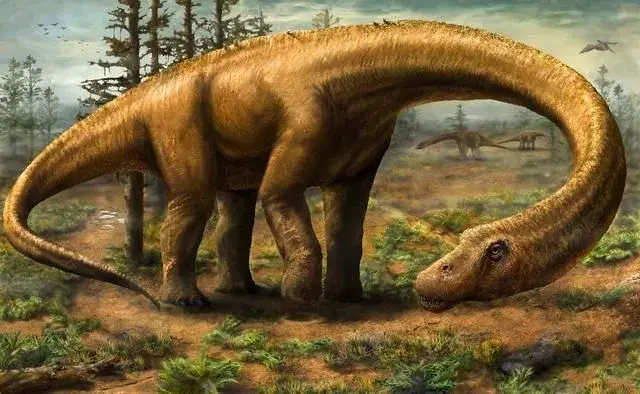 体型最大恐龙排名（世界上最大的恐龙是什么龙）(图8)