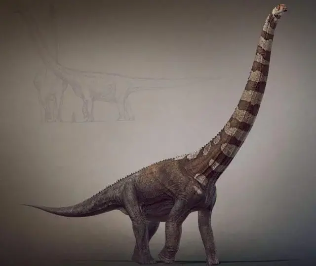 体型最大恐龙排名（世界上最大的恐龙是什么龙）(图9)