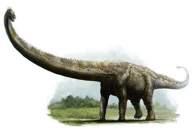 体型最大恐龙排名（世界上最大的恐龙是什么龙）(图10)